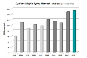 A Bountiful Harvest for Quebec Maple Syrup Producers