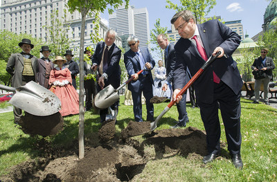 Montreal Mayor Denis Coderre plants a tree in downtown Montreal in honor of Canada’s 150th and Montreal 375th anniversaries. CN this year is planting trees in honour of Canada’s 150th in communities across the country. (CNW Group/CN)