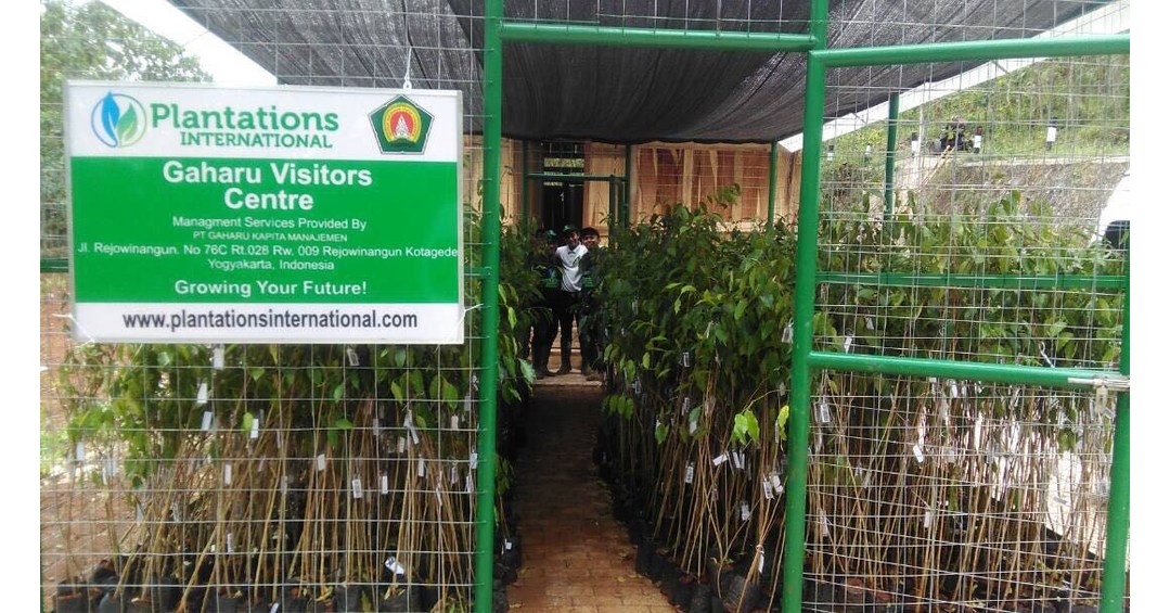 Plantations International Opens Agarwood Visitors Centre In Indonesia