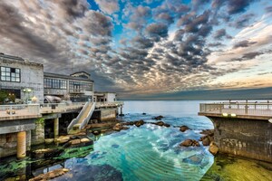 Monterey Bay Aquarium will be a 'Voice for the Ocean' at U.N. Ocean Conference, June 5-9 in New York