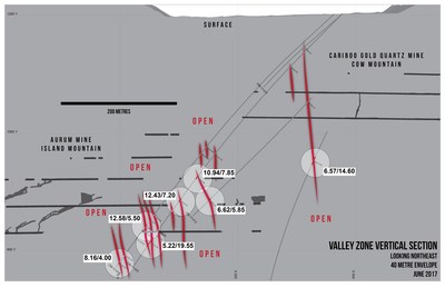 Valley Zone Vertical Section (CNW Group/Barkerville Gold Mines Ltd.)