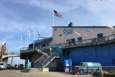 Aquarium of the Bay is located at PIER 39 along San Francisco’s iconic waterfront. Photo Credit: Jeanne Mai