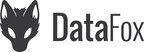 DataFox Reports Record Year-over-Year Growth Fueled By New Fortune 500 Partnerships