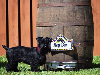 Lincoln, DOG BAR SIGN, CO. CEO