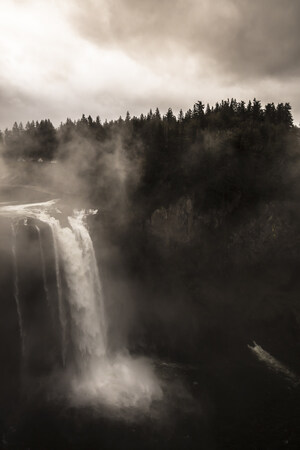 The Only Twin Peaks Fine Art Image Collection Debuts on After White and Paddle8