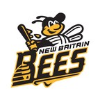 New Britain Bees' "Bee Cams" Go Live