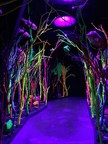 Creative Startups -- The World's Leading Accelerator For Creatives such as George R.R. Martin-Funded Meow Wolf -- Now Open for Applications from Creative Industry Companies