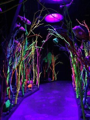 Creative Startups -- The World's Leading Accelerator For Creatives such as George R.R. Martin-Funded Meow Wolf -- Now Open for Applications from Creative Industry Companies