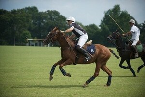 Southern Spring Farm Commences Summer Polo Season This Friday