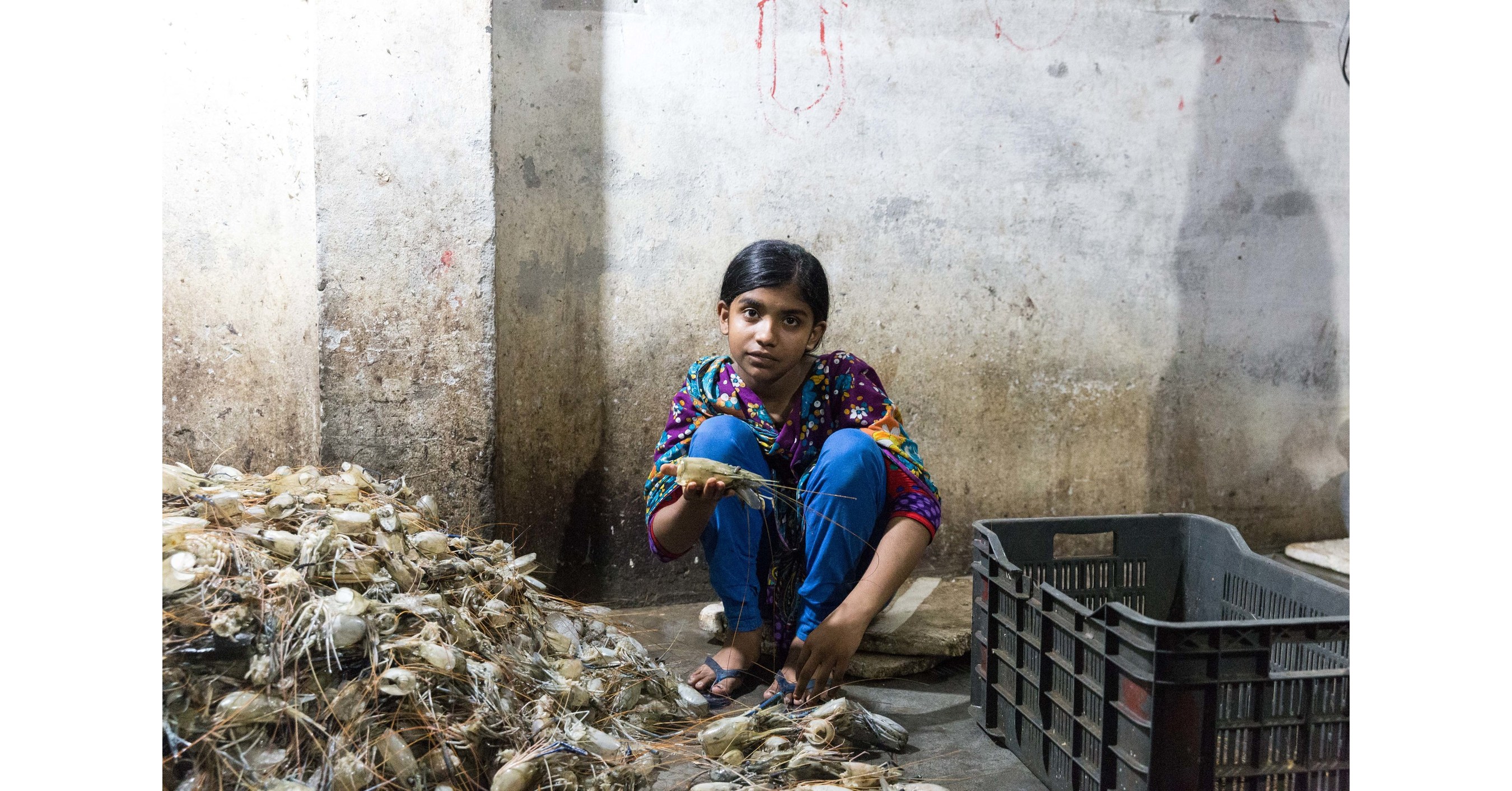 Child Labour Is a Major Problem in