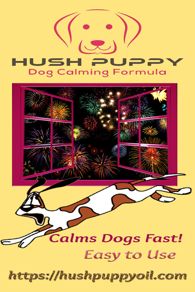 More dogs go missing on the 4th of July than any other day of the year. Ease your dog's anxiety this year with aromatherapy from Hush Puppy Dog Calming Formula.