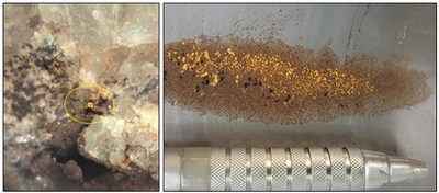 Figure 4a: Example of visible gold in quartz veining east of the Caninana Target (grain ~1mm in size.  Figure 4b: Gold-anomalous pan concentrate from the Bico de Jaca Target. (CNW Group/Meridian Mining S.E.)