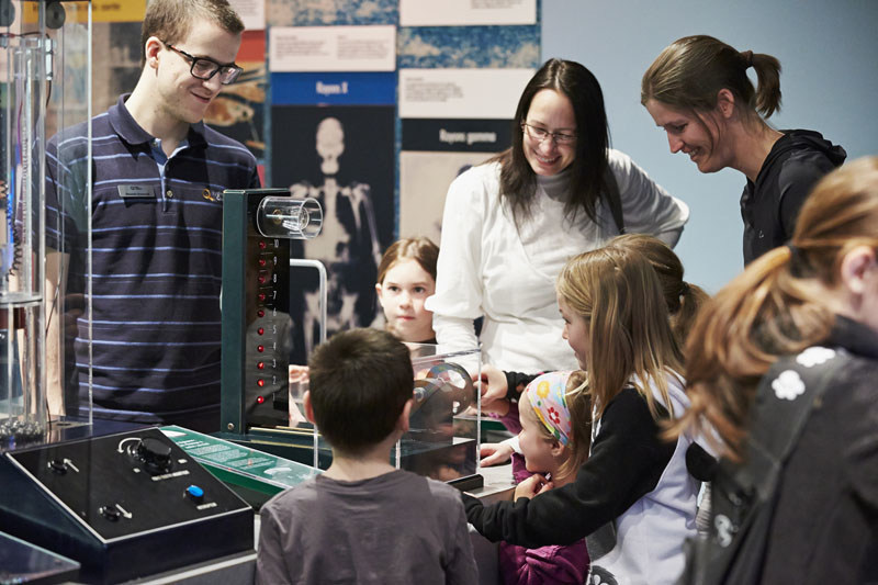 Summer At The Electrium Recharge Your Science Batteries