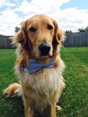 Scout was named the Assistance Dog of the Year in a contest sponsored by Hill’s Pet Nutrition and Clinician’s Brief.