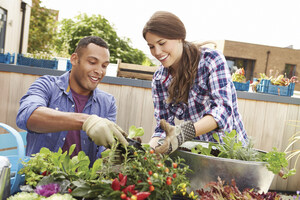 10 Tips for Urban Gardening