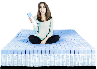 The SleepOvation Mattress