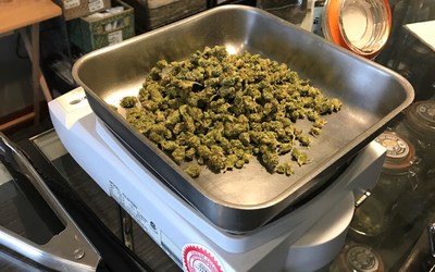 Marijuana is weighed at a dispensary in Crested Butte, Colorado. The Rocky Mountain state was the first to begin retail sales of recreational marijuana in January, 2014.
