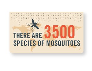 To Avoid Mosquitoes: Get Smart!