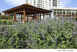 The Whitehall, One Of New York's Premier Residences, Opens Spectacular Green Roof