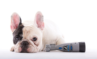 Launching with help from internet pet celeb Manny the Frenchie, the new Dremel 7300-PGK is designed to be easier to use, more efficient and gentler.