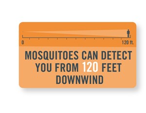To Avoid Mosquitoes: Get Smart!