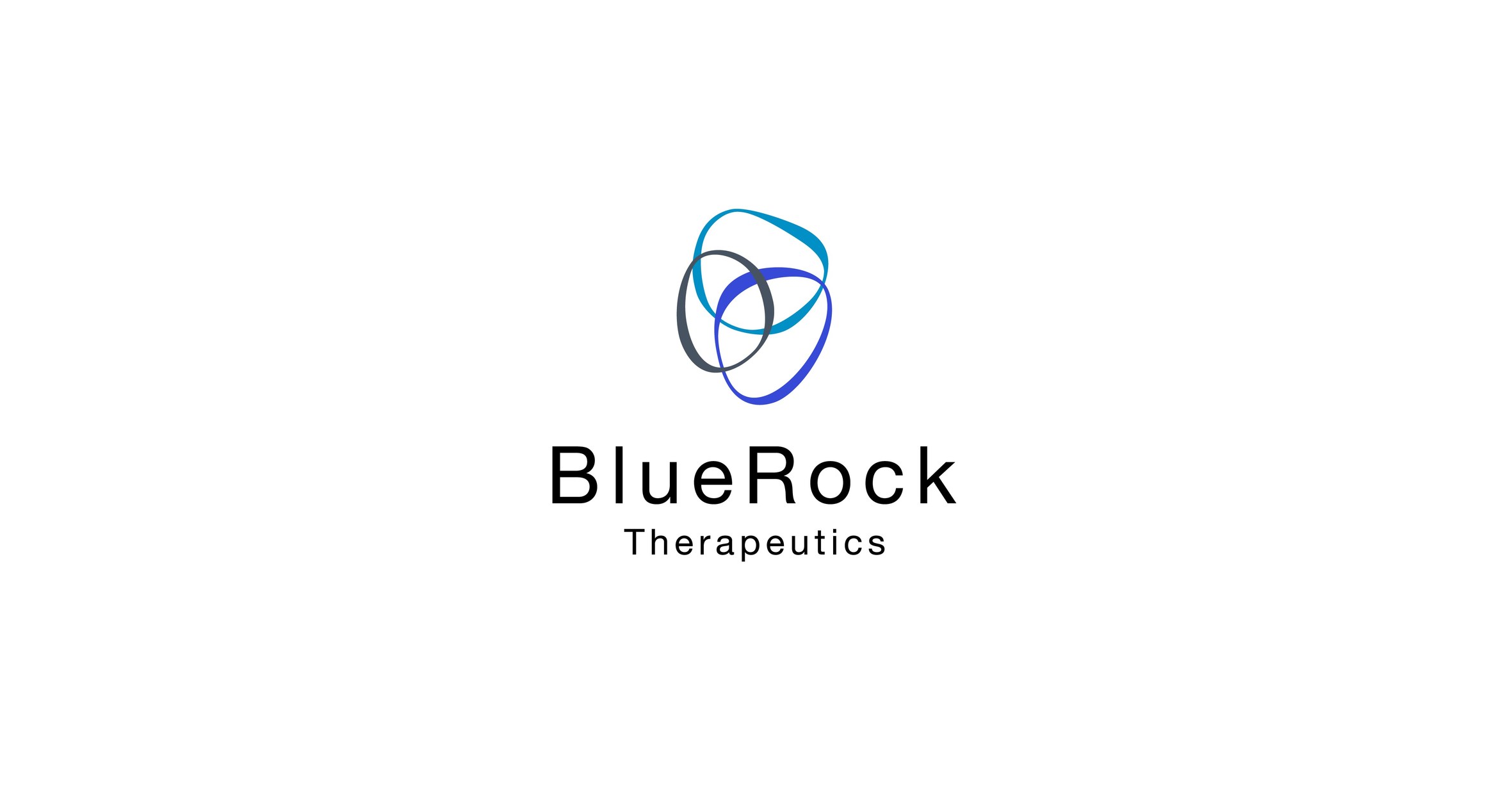 BlueRock Therapeutics Announces Key Members of Executive Team