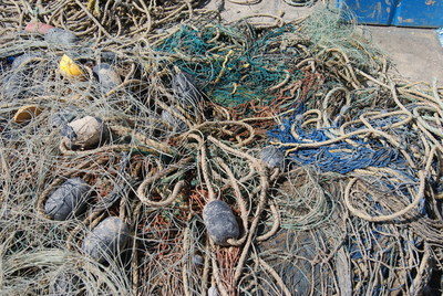 Ghost fishing gear recovered from the Gulf of California by World Animal Protection, CIRVA, and Monterey Bay Diving. (c) World Animal Protection