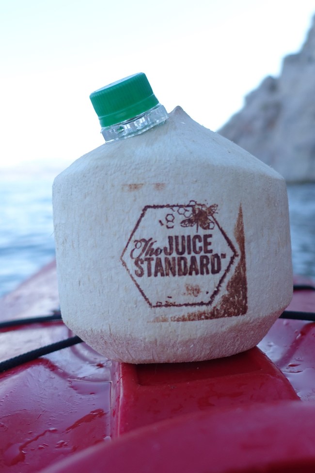 The Juice Standard provides fresh and healthy tapped coconuts in it's raw juice bar at The Cosmopolitan of Las Vegas to keep visitors hydrated at the resort. Coco Taps supplies the juice bar with organic coconuts that are free of packaging, have reusable taps and can be composted after use. The delicious water in the coconut container becomes the ultimate vacation beverage.