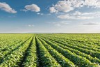 GDM and Benson Hill Biosystems Establish Strategic Collaboration to Accelerate Soybean Breeding