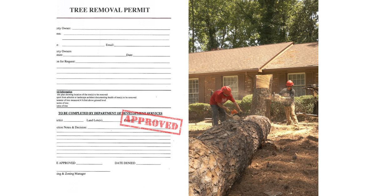 Tree Removal Permit Launches and Nationwide Resource for Local Tree Protection