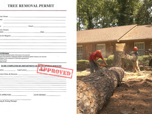 Tree Removal Permit Launches and Becomes Nationwide Resource for Local Tree Protection Ordinances and Permits