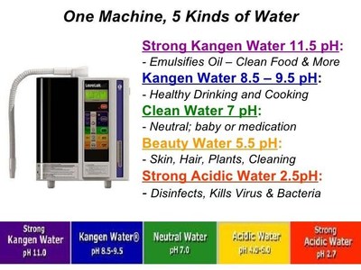 Kangen 2.5 acid water online