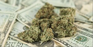 The Growth and Future of the Booming Marijuana Industry