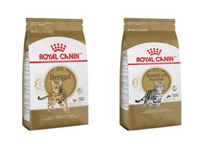 Royal Canin Launches Bengal And American Shorthair Breed-Specific Feline Diets