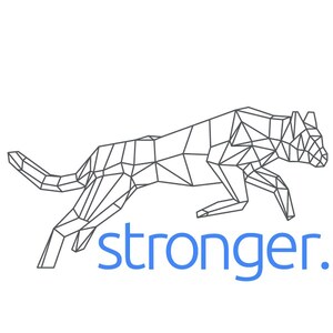 IT Training Solutions Rebrands as Stronger International, Inc.