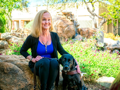Collision, A New Novel By Arizona Author Image