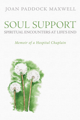 Hospital Chaplain Delivers Powerful Stories of Life and Death Image