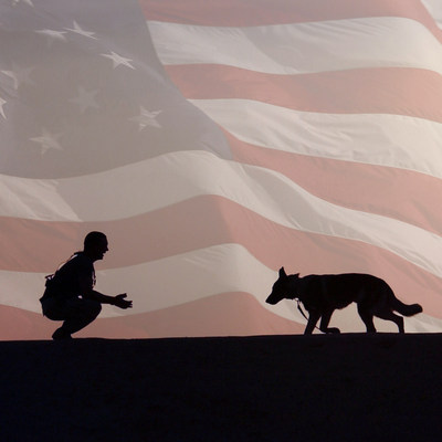 The new Pups for Patriots Act seeks to put more healing leashes into the hands of America's veterans coping with the invisible wounds of war.