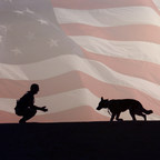 American Humane Applauds Introduction of "Pups for Patriots Act"