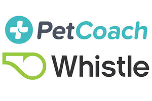 PetCoach and Whistle announce Lacuna Diagnostics as the winner of the Pet Project 2017 innovation pitch contest