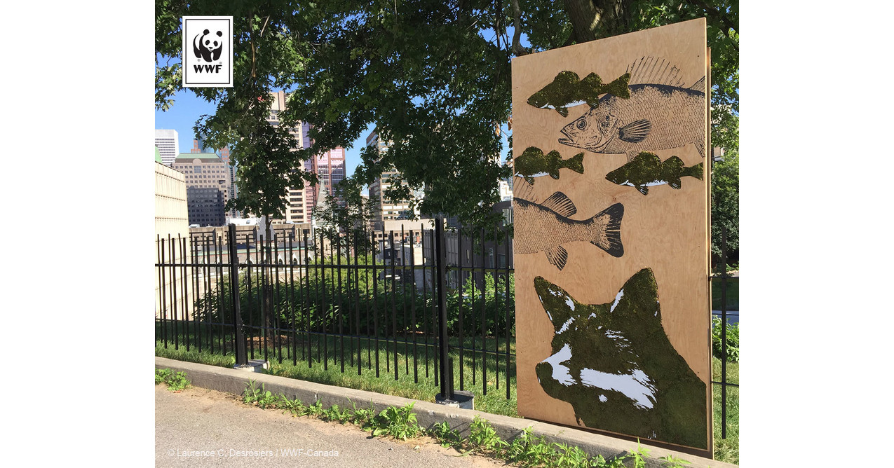 Art installation commissioned by WWFCanada promotes Montréal's biodiversity