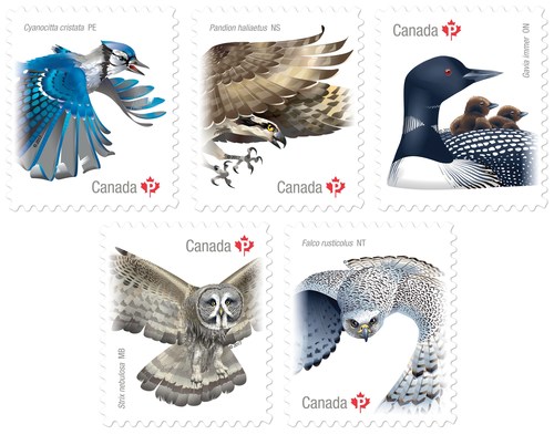 Birds of Canada 2017 (CNW Group/Canada Post)