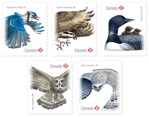 Des oiseaux emblématiques ornent la deuxième émission de la série Les oiseaux du Canada
