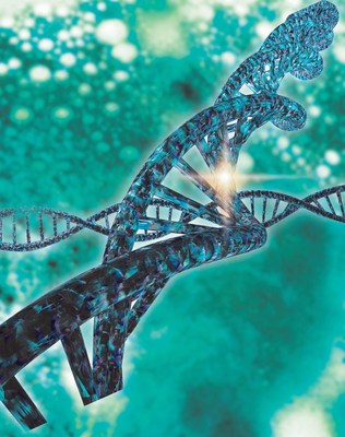 유럽특허청, 머크가 신청한 CRISPR 기술 특허를 승인