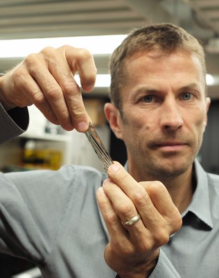 IBM Research scientists have achieved a new world record in tape storage – their fifth since 2006. The new record of 201 Gb/in2 (gigabits per square inch) in areal density was achieved on a prototype sputtered magnetic tape developed by Sony Storage Media Solutions.
   
In this photo, IBM scientist Dr. Mark Lantz, holds a one square inch piece of Sony Storage Media Solutions sputtered tape, which can hold 201 Gigabytes, a new world record.   
 
Photo credit: IBM Research