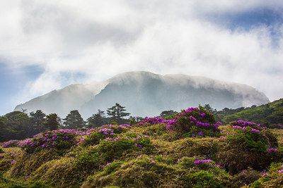 Landing Jeju Development and Four Seasons Hotels and Resorts Announce Plans for Four Seasons Resort Jeju Island at Jeju Shinhwa World, South Korea