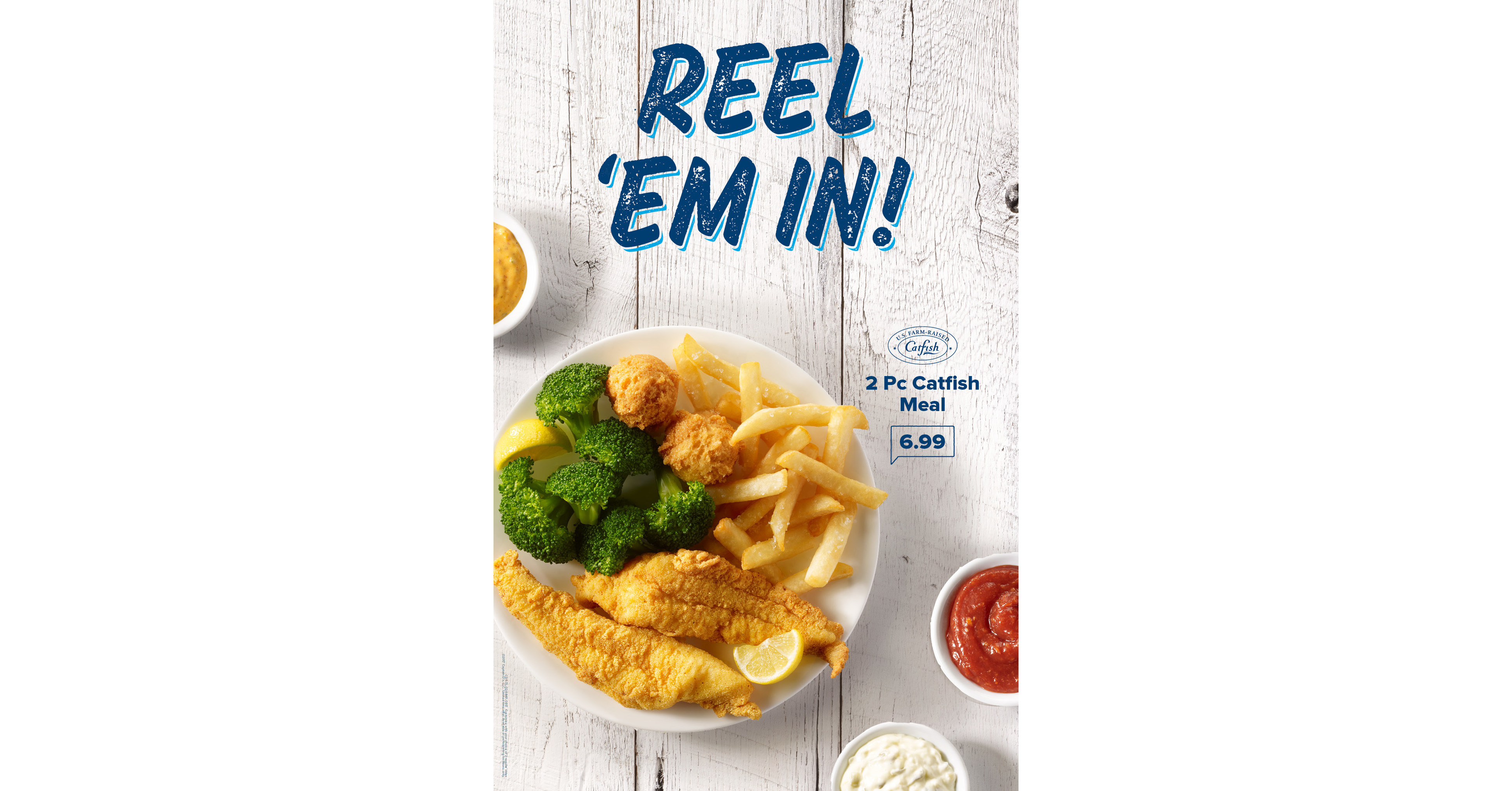 Captain D’s introduces the DGulls, two super fans who are on a quest