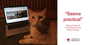 American Red Cross Announces New Cat and Dog First Aid Online Course