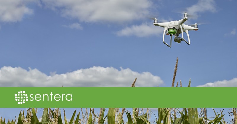 Sentera's Double 4K Sensor for DJI Phantom 4 series features fully customizable filters, offering ag professionals additional affordable late-season data capture options