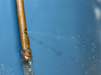 Plumbing Pipe Advocate Warns Homeowners to Only Buy Copper or Pex Type Plumbing Pipe or Fittings That Are Made in The USA Because Made in China Does Not Translate into Quality